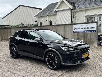 Cupra Formentor 2.0 TSI 310Pk 4Drive Pano Beats 360Camera picture 3