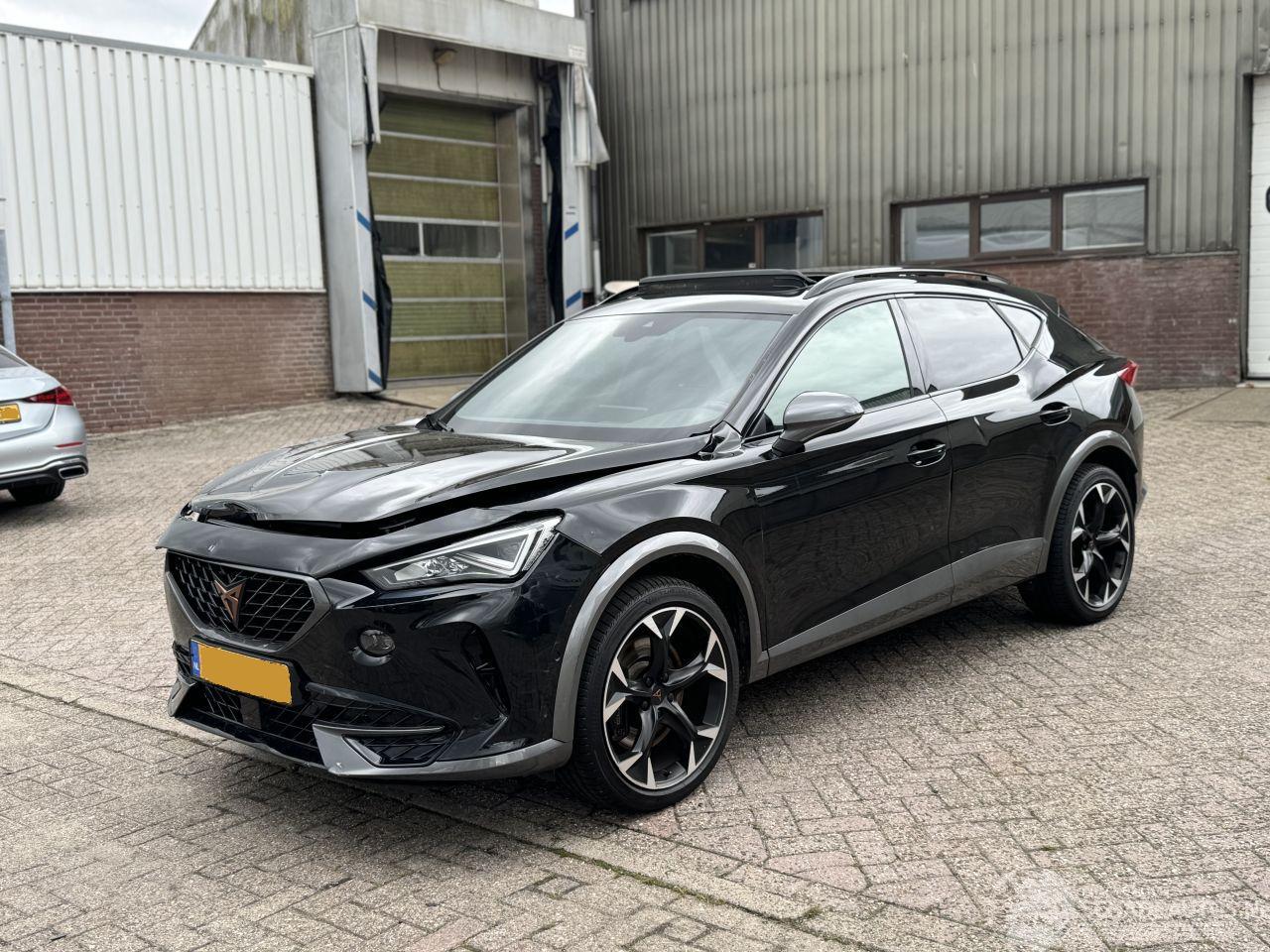 Cupra Formentor 2.0 TSI 310Pk 4Drive Pano Beats 360Camera