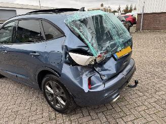 Ford Kuga 2.5 PHEV St-Line X Pano picture 14