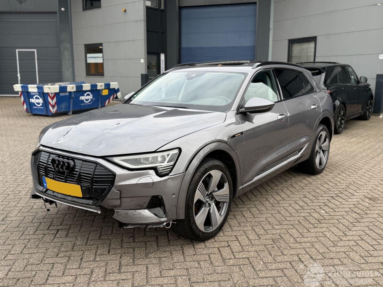 Audi E-tron 50 Quattro 71Kwh Launch Edition Plus Pano Nap Nederlandse Auto