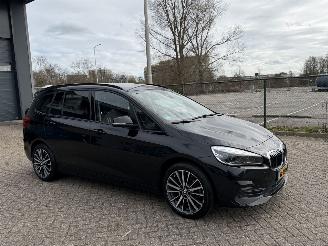 Avarii autoturisme BMW 2-serie 218i 7Persoons Automaat Executive Edition NAP Nederlandse Auto 2020/3