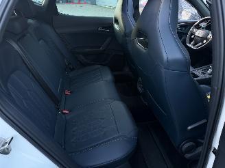 Cupra Formentor 1.4 E-Hybrid VZ Cooper Edition Pano Sfeerverlichting picture 16