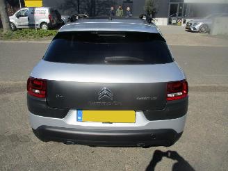 Citroën C4 cactus PURETECH BUSINESS CLIMA NAVI CLIMA  PANO picture 7
