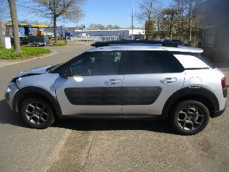 Citroën C4 cactus PURETECH BUSINESS CLIMA NAVI CLIMA  PANO picture 2