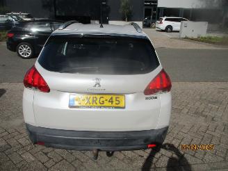 Peugeot 2008 1.6 VTI ACTIVE picture 8