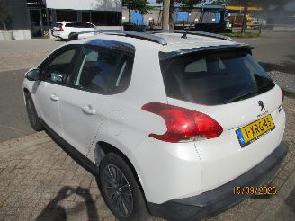 Peugeot 2008 1.6 VTI ACTIVE picture 10
