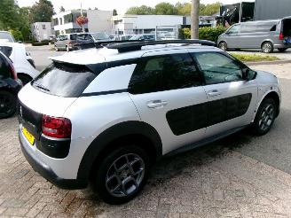 Citroën C4 cactus PURETECH BUSINESS CLIMA NAVI PANO picture 8