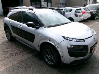 Citroën C4 cactus PURETECH BUSINESS CLIMA NAVI PANO picture 4