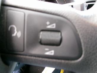 Seat Exeo 1.8 TSI COMFORT EDITION CLIMA picture 17