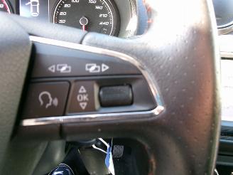 Seat Ibiza ECO TSI FR  CONNECT CLIMA NAVI PANO picture 22