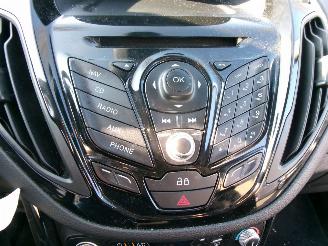 Ford B-Max 1.0 ECOBOOST TITANIUM picture 14