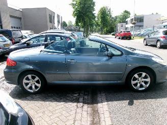 Peugeot 307 1.6-16V CABRIOLET CLIMA LEDER picture 5