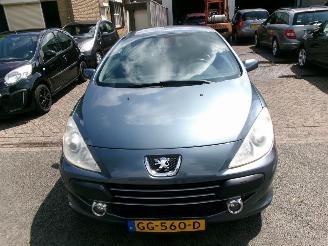 Peugeot 307 1.6-16V CABRIOLET CLIMA LEDER picture 23