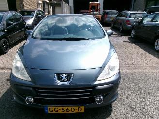 Peugeot 307 1.6-16V CABRIOLET CLIMA LEDER picture 3