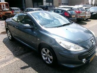 Peugeot 307 1.6-16V CABRIOLET CLIMA LEDER picture 4
