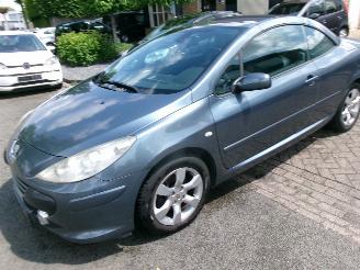 Peugeot 307 1.6-16V CABRIOLET CLIMA LEDER picture 9