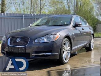 Autoverwertung Jaguar XF XF (CC9), Sedan, 2008 / 2015 3.0 D V6 24V 2010