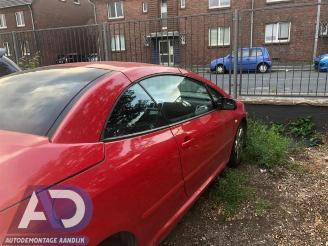 Peugeot 307 307 CC (3B), Cabrio, 2003 / 2009 2.0 16V picture 7