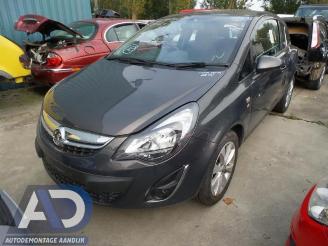 Opel Corsa Corsa D, Hatchback, 2006 / 2014 1.3 CDTi 16V ecoFLEX picture 2