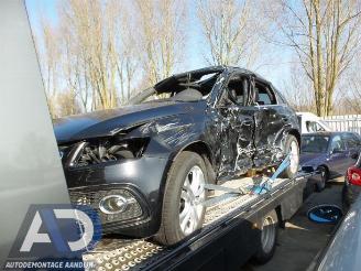 Audi SQ5 SQ5 (8RB), SUV, 2012 / 2017 3.0 TDI V6 24V picture 3
