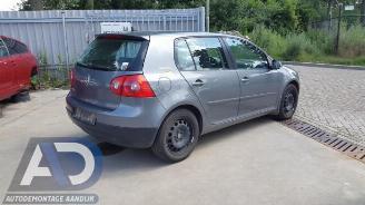 Volkswagen Golf Golf V (1K1), Hatchback, 2003 / 2010 1.9 TDI picture 4