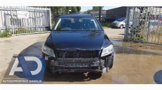 Volkswagen Passat Passat Variant (365), Combi, 2010 / 2015 2.0 TDI 16V 140 picture 2