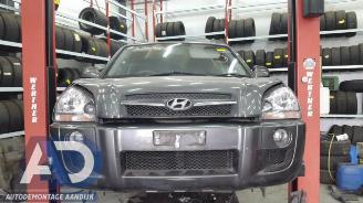 Hyundai Tucson Tucson (JM), SUV, 2004 / 2010 2.0 16V CVVT 4x2 picture 2