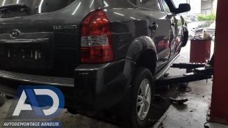 Hyundai Tucson Tucson (JM), SUV, 2004 / 2010 2.0 16V CVVT 4x2 picture 6