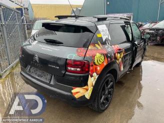 Citroën C4 cactus C4 Cactus (0B/0P), Hatchback 5-drs, 2014 1.2 PureTech 82 12V picture 5