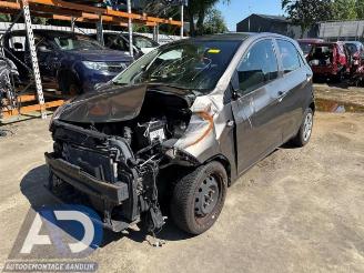 disassembly passenger cars Kia Picanto Picanto (TA), Hatchback, 2011 / 2017 1.0 12V 2012