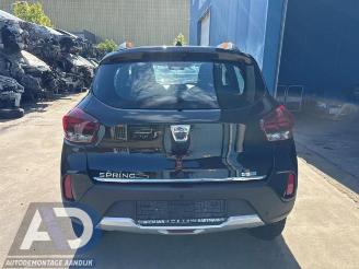 Dacia Spring Spring, Hatchback, 2020 45 picture 6