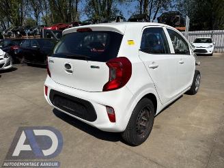 rozbiórka samochody osobowe Kia Picanto Picanto (JA), Hatchback, 2017 1.0 12V 2017/8