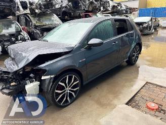 Volkswagen Golf Golf VII (AUA), Hatchback, 2012 / 2021 2.0 GTI 16V Performance Package picture 4