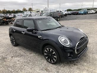 Mini One 1.5 picture 2