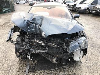 Skoda Superb COMBI  2.0 TDI  DSG picture 13