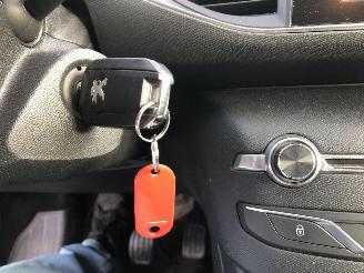 Peugeot 308 1.6 HDI picture 21