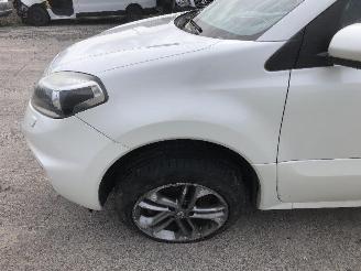 Renault Koleos 2.0 DCI automatique 4x4 picture 8