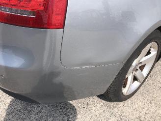 Audi A5 cabrio 2.0 TDI picture 16