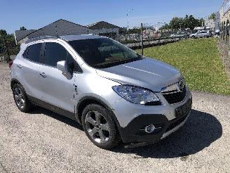 Opel Mokka 1.6  A16XER picture 2