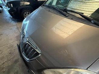 Lancia Musa 1.4  ORO picture 15