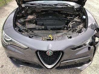 Alfa Romeo Stelvio 2.2 d SUPER picture 21