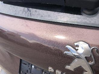 Peugeot 2008 1.4 HDI picture 13