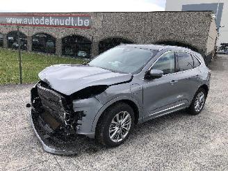 Ford Kuga Kuga 2.5 HYBRIDE vignale picture 3