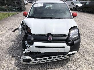 Fiat Panda 1.0 CITY CROSS picture 10