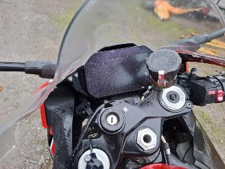 BMW S1000RR  picture 19