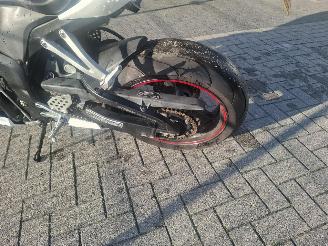 Honda CBR 600 Cbr600rr picture 14