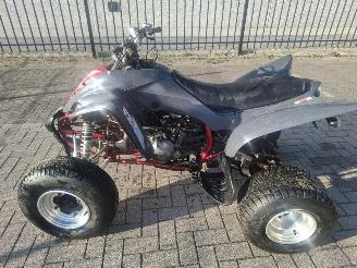 Yamaha  raptor 350 picture 2