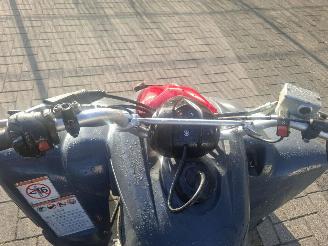 Yamaha  raptor 350 picture 13