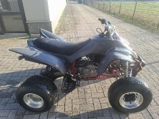 Yamaha  raptor 350 picture 1