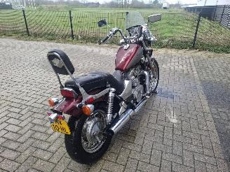 Honda VT 750 vt 800 shadow picture 8